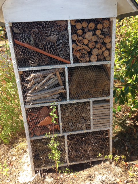 Insect and bee hotel