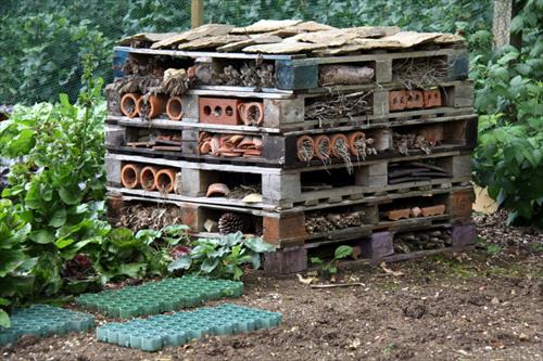 Insect and bee pallet hotel