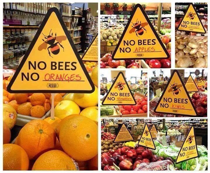 No Bees price tags in supermarket