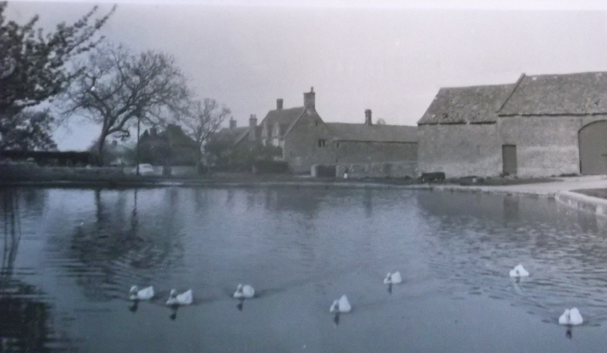 The duck pond in 1963