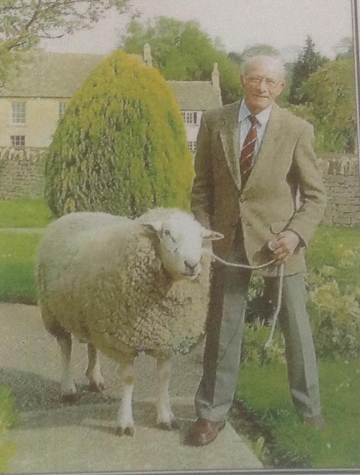 Gene Kelly and sheep